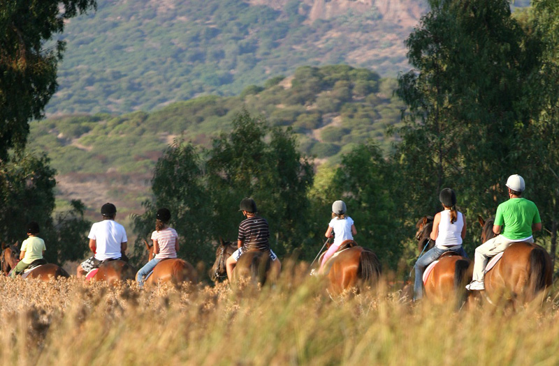 group-riding-horses-mountains-800